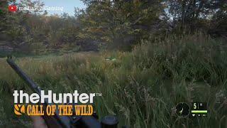 Hunter: Call of the Wild -- Gameplay No Commentary -- Xbox One