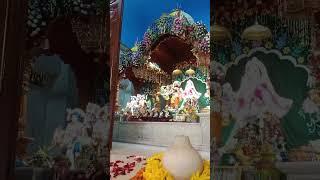 Hare Krishna hare Krishna #music #song #radheradhejapochaleaaengebihari