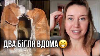 Новий мешканець! Як ми на це наважились?