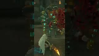 Found out I can make Lynel spin #gaming #totk #link