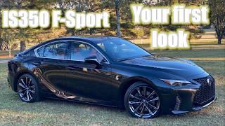 What you want to know about the 2024 Lexus IS350 F sport