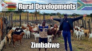 From Chef to Farmer: A Culinary Journey to Goat, Rabbit, and Poultry Farming in Rural Zimbabwe 