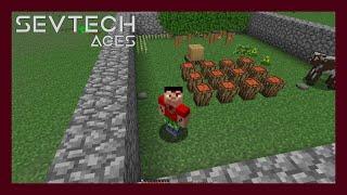 Sevtech Ages 3.12 Tutorial - Everything Totemic, buffalo, eagle, baykok