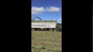 Klondike Farms Fall Harvest Chopping