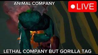 ANIMAL COMPANY LIVE with VIEWERS