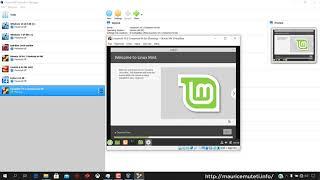 How to Install Linuxmint 19.3 Cinnamon x64 Bit Linux On Oracle VM VirtualBox 6.0.8