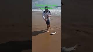 Fishing stlucia ultralight #fishing #fishinglife #fishingfun #fishingtiktoks #fishingvideos #fish