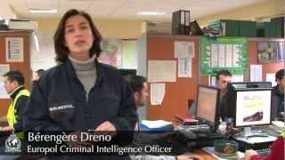 OPERATION OPSON, Europol Criminal Intelligence Officer