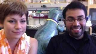 Faking It: Neuroscience of Memory