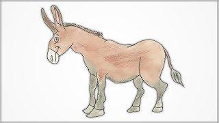 How to draw a donkey drawing step by step