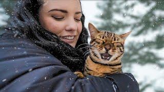 BENGAL CAT reacts to FIRST SNOWFALL!! WE WERE SUPRISED!