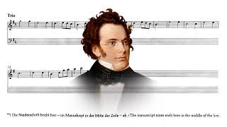 Schubert-Safronov - Scherzo from the "Unfinished" Symphony - Boreiko, BNO (2013)