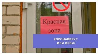 Как отличить коронавирус от гриппа: отвечает инфекционист