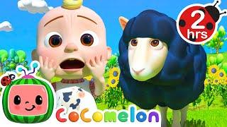  Baa Baa Black Sheep KARAOKE  | 2 HOURS OF COCOMELON | Sing Along With Me! | Animal Songs for Kids