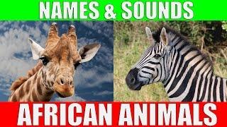 African Animals Names and Sounds for Kids to Learn | Learning African Animal Names for Children