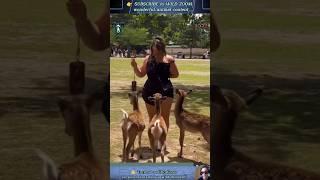 19 UNSEEN Animal Moments You MUST See!  WILD ZOOM  #animals #animalclips   #wildlife