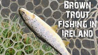 Fishing for Brown Trout in Ireland, opening day of the season!