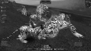 [Contest facespawn by jarock]infinityRage killed Tiger Girl *FACESPAWN*