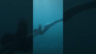 Mermaid Spotted in Australia? ‍️ Real Footage Shocks Tourists! #shorts
