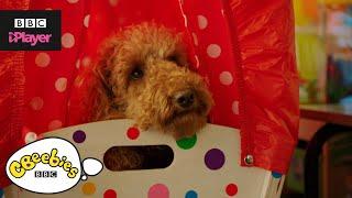 Waffle the Wonder Dog Top 5 | Starting School | CBeebies