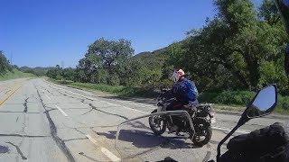 Drag Race | Kawasaki Versys-X 300 vs BMW G310GS