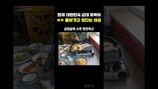 현재 대한민국 군대 외박이 ㅁㅊ 돌아가고 있다는 이유ㄷㄷ