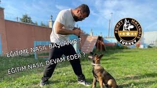 YAVRULARDA EĞİTİME NASIL BAŞLANIR? NASIL ÇALIŞILIR?