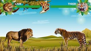 Lion Vs Tiger