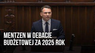 Mentzen w debacie budżetowej za 2025 rok