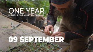 One Year in the Life of a Part Time Hermit - September - Of floors, bracken and thunderstorms