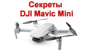 Квадрокоптер DJI Mavic Mini - основные секреты модели