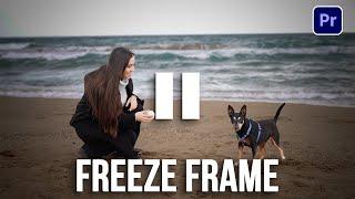 How to PAUSE or FREEZE Frame in Premiere Pro 2022