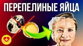 10 Секретов Перепелиных Яиц: Польза, Вред, Интересные Факты и Мифы!