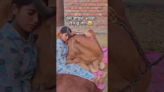 Jai gau Mata Jai ​​shree Krishna #trending #shorts #youtubeshorts #youtube #ytshorts #foryou