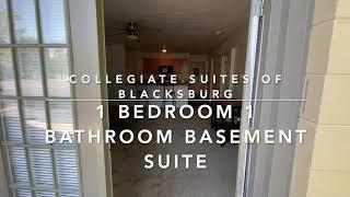 1 Bedroom Basement Suite