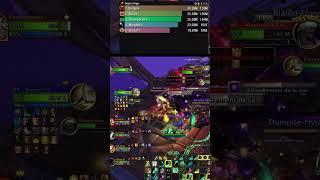 +8 BIG DAMAGE MONK HEAL BUILD ONE SHOT #mistweaver #worldofwarcraft #monk #healing