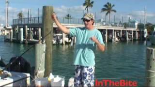 Tackle Tip: Stanczyk Family Swordfish Rig