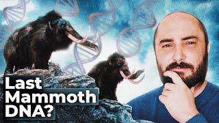 The Strange DNA of the last mammoths