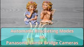 Automatic Bracketing Modes on Panasonic Lumix Bridge Cameras