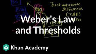 Weber's law and thresholds | Processing the Environment | MCAT | Khan Academy