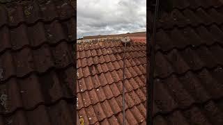 Insane Roof Cleaning Transformation #exteriorclean #satisfying #cleaning #jetwashing #clean