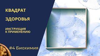 Квадрат здоровья. Биохимия. Кинезиологический взгляд на здоровье.