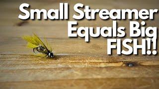 The Smallest Most Effecive Streamer Fly I Have Ever Used!!