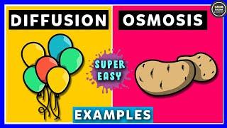 Diffusion and Osmosis