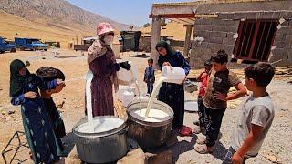 A nomadic family, while the men of the house work, Jan Bibi makes curd @peren466