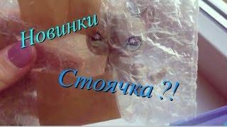 LPS: Новинки #1~СТОЯЧКА?!~