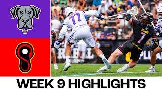 Philadelphia Waterdogs vs. Maryland Whipsnakes Full Game Highlights