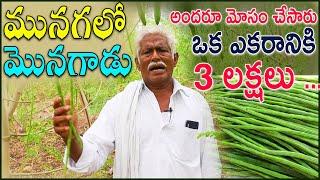 Munaga Sagu 2021 | Farmer Shiva Reddy Drumstick ( Moringa ) Farming Success Story | N5 Media