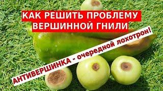 Вершинная гниль на помидорах и перчике. Спасаем урожай без "таблеток" и сомнительных "антивершинок"