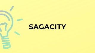 What is the meaning of the word SAGACITY?